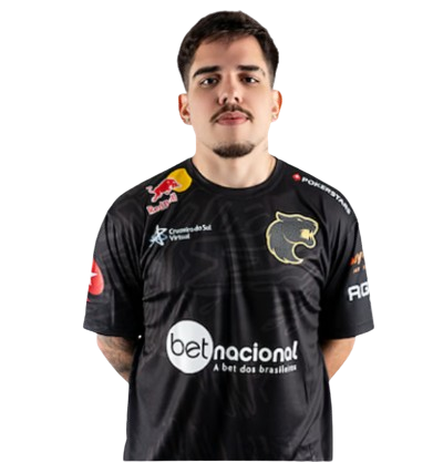 compañeros de fallen