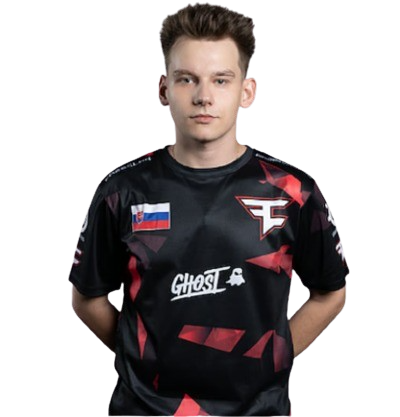 compañero de equipo