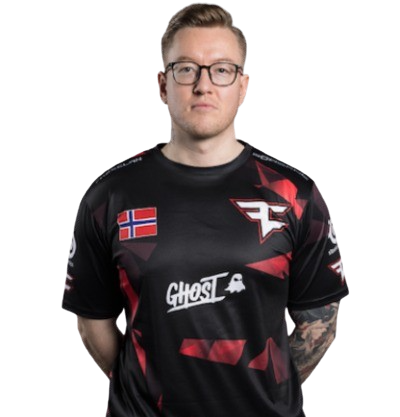 compañero de equipo