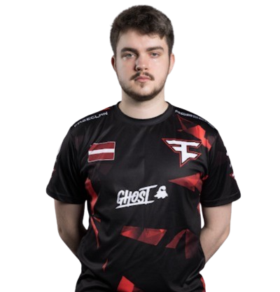 compañero de equipo